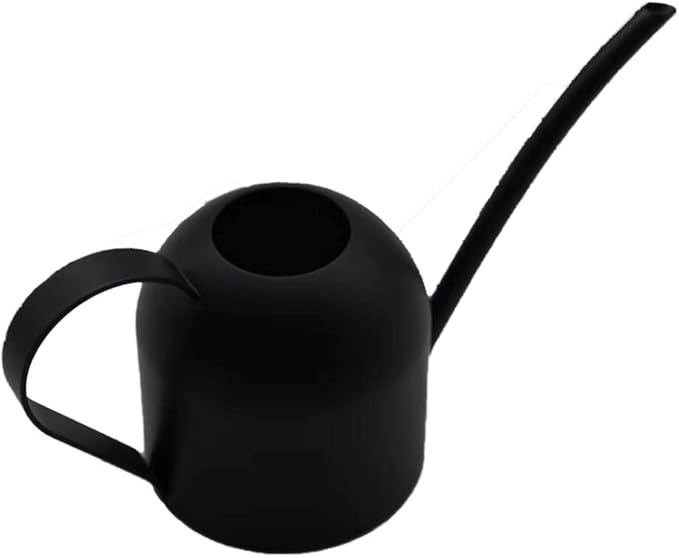 ORO – Mini-Gießkanne aus Edelstahl, 450 ml, in 4 Farben erhältlich