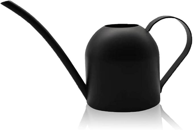 ORO – Mini-Gießkanne aus Edelstahl, 450 ml, in 4 Farben erhältlich