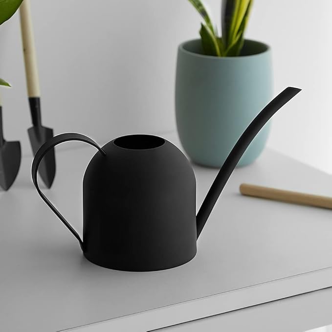 ORO – Mini-Gießkanne aus Edelstahl, 450 ml, in 4 Farben erhältlich