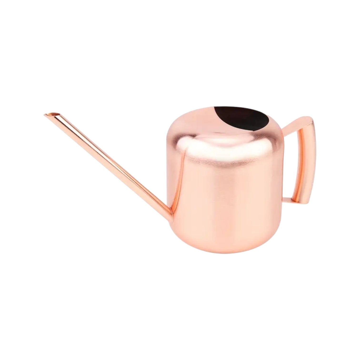 SILVA – Edelstahl-Gießkanne 1,2 l, mit langem Ausguss und ergonomischem Griff
