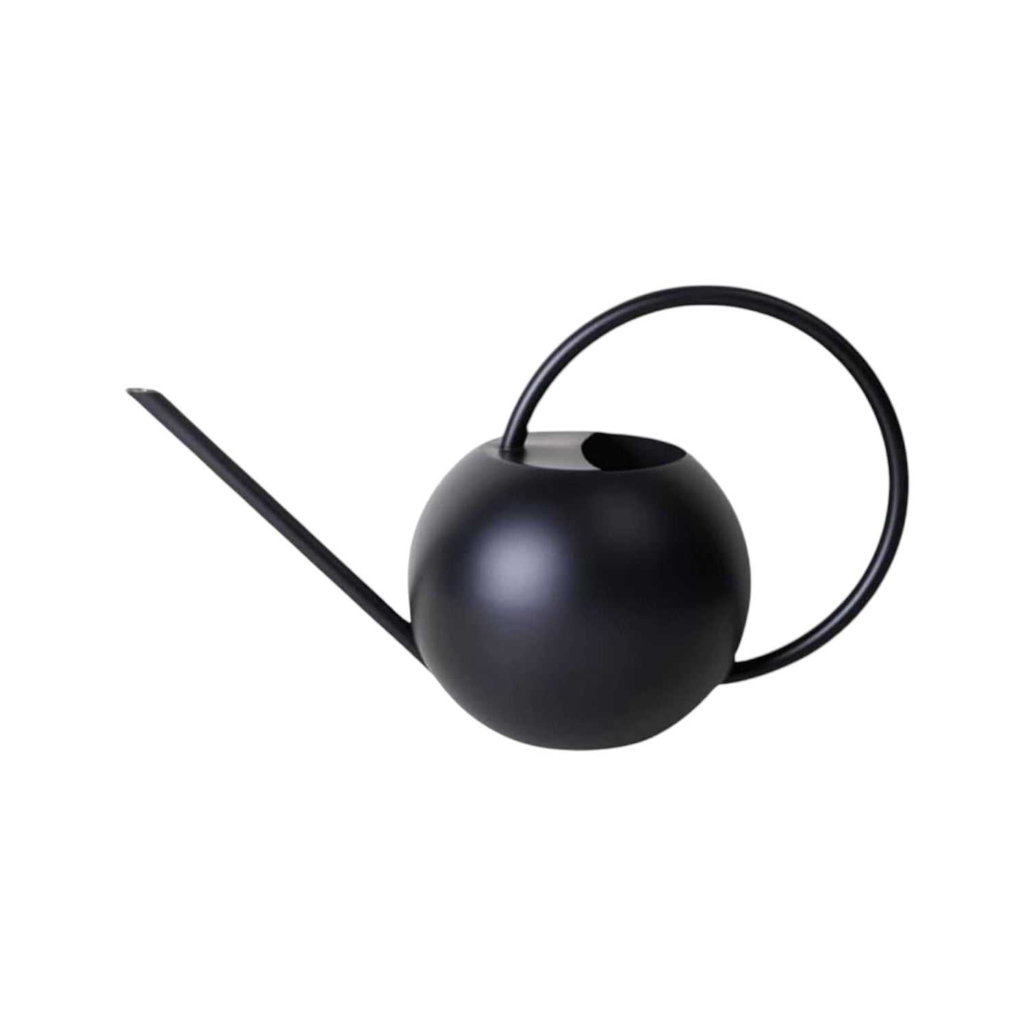 AQUA – Edelstahl-Gießkanne 1,3 l, mit langem Ausguss für Zimmerpflanzen