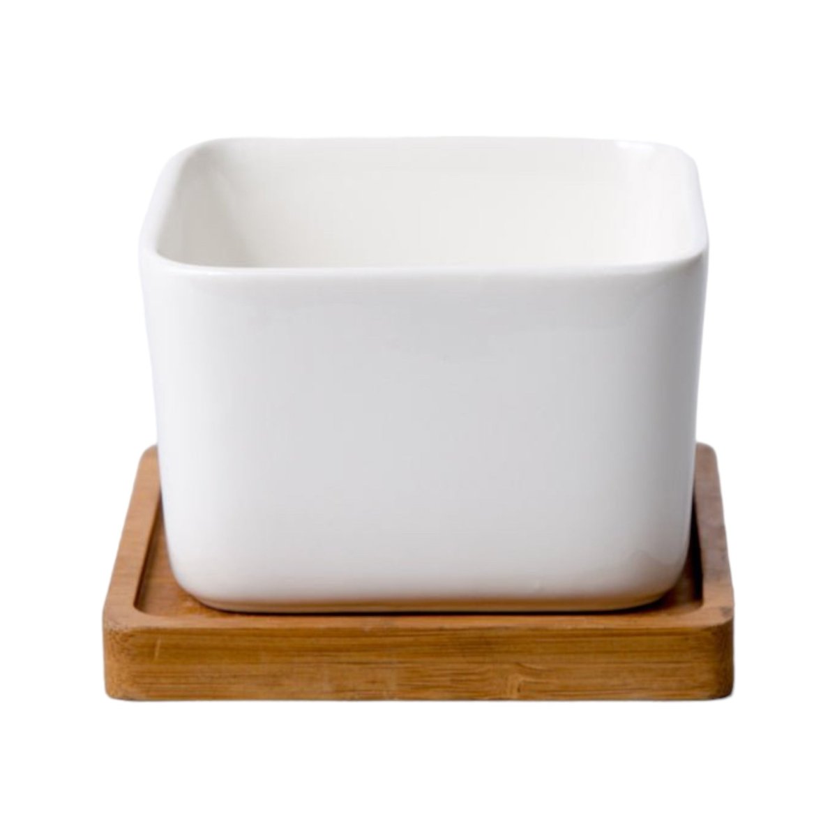 Sukkulententopf, quadratisch, weiß, ⌀ 8 cm, mit Bambusuntersetzer und Drainageloch -KAKTOS