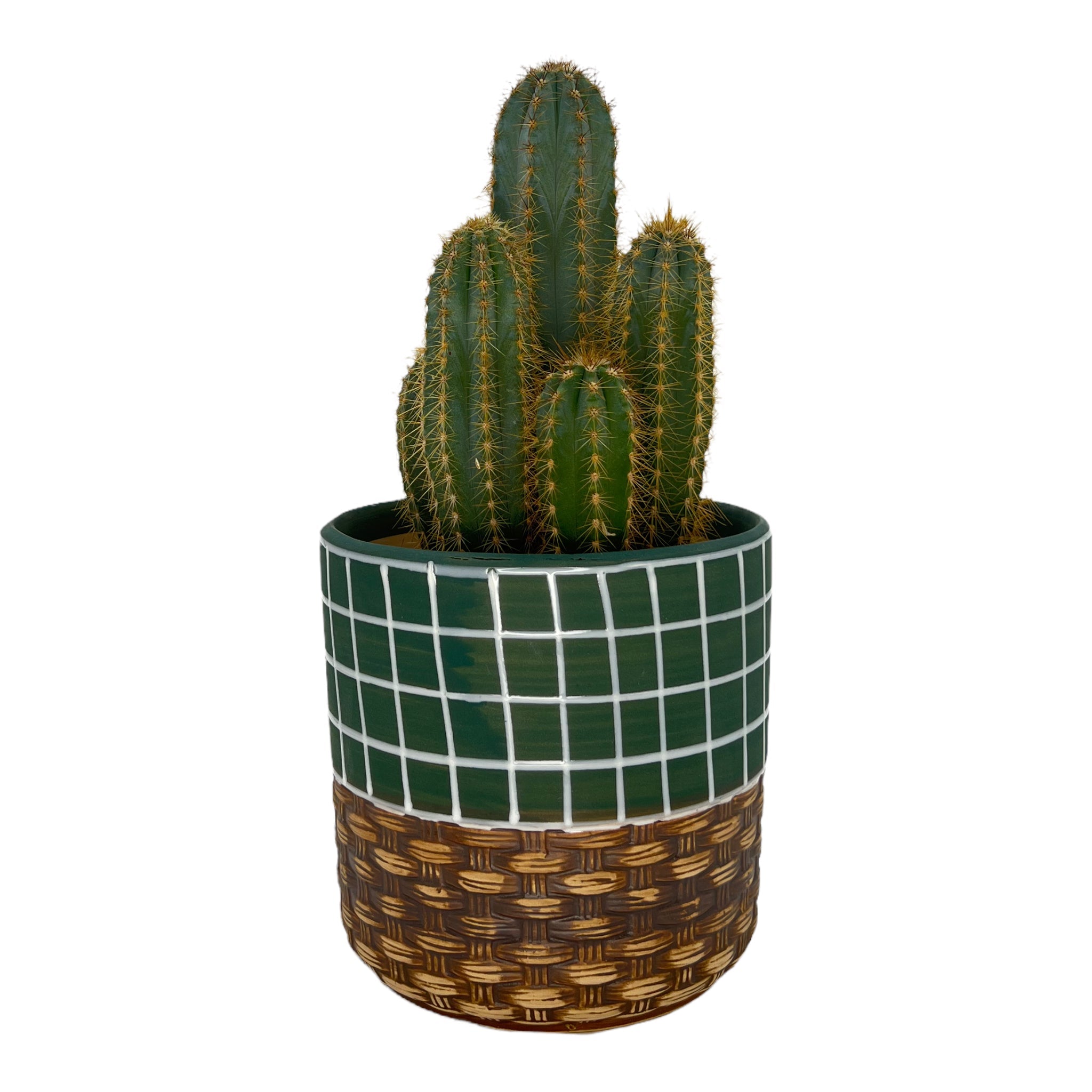 Blumentopf handbemalt, Ø12cm, 13cm hoch, linien, grün/braun, mit Loch -KAKTOS Pflanzgefäße & Zubehör