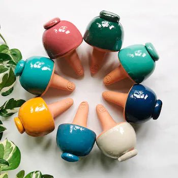 Olla Champi, verschiedene Farben -KAKTOS