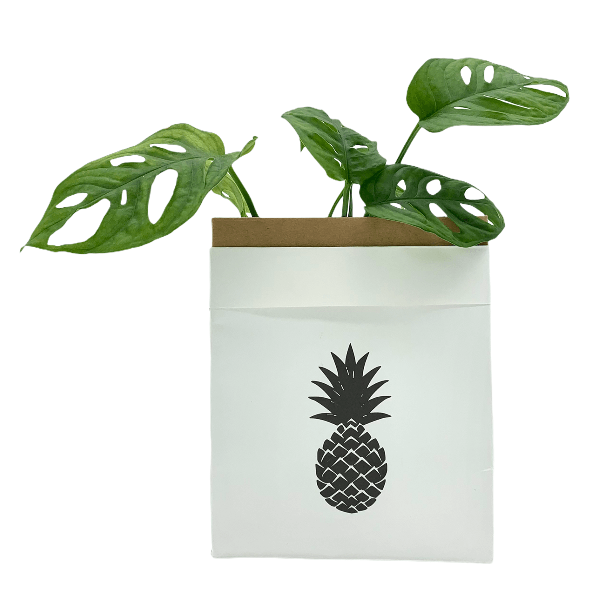 Kraftpapier Tüte beschichtet - 14x9x17 - Ananas -KAKTOS Pflanzen & Zubehör