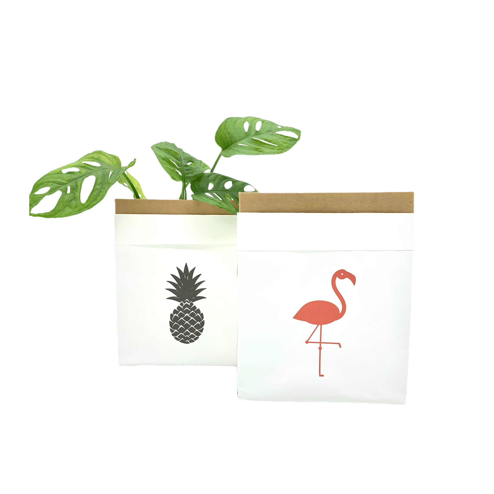 Kraftpapier Tüte beschichtet - 14x9x17 - Flamingo -KAKTOS Pflanzen & Zubehör