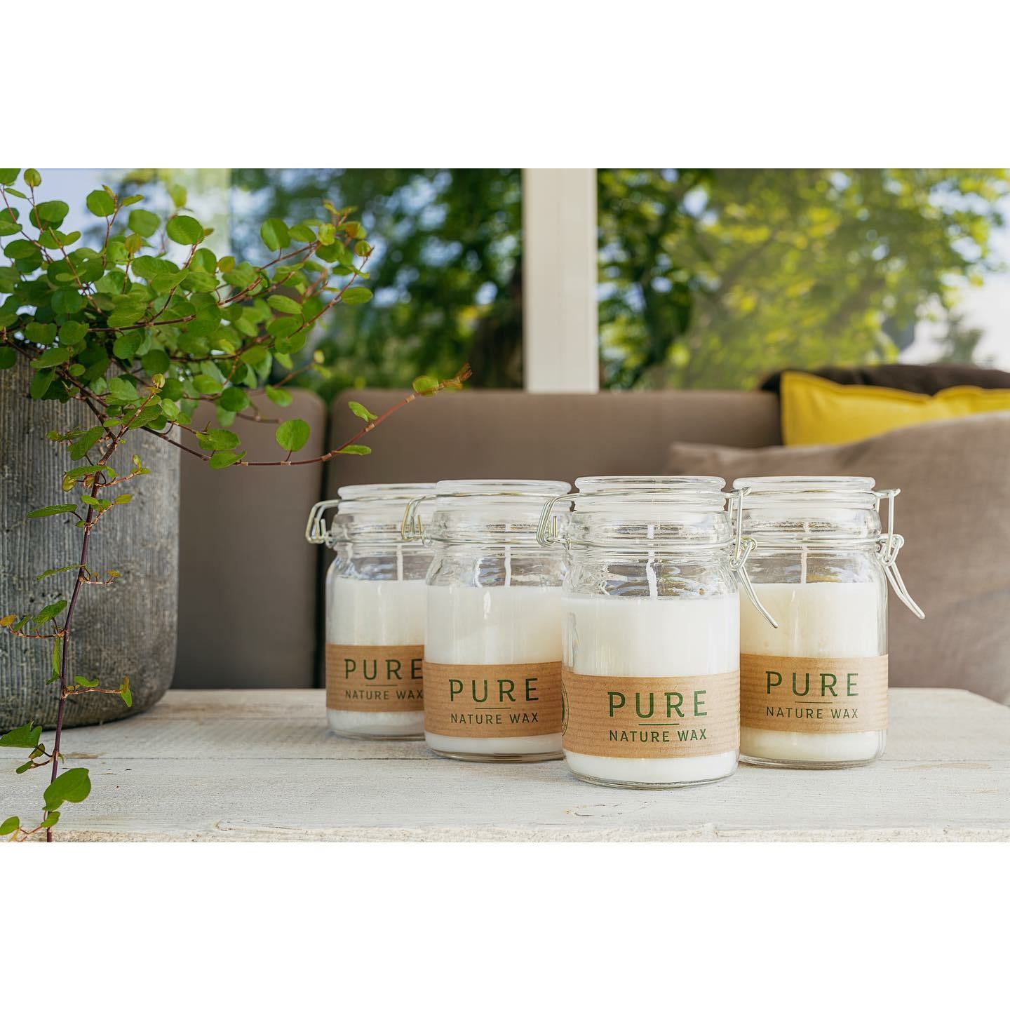 Naturwachskerze im Bügelglas - weiss - 100% Rapswachs -KAKTOS Pflanzen & Zubehör