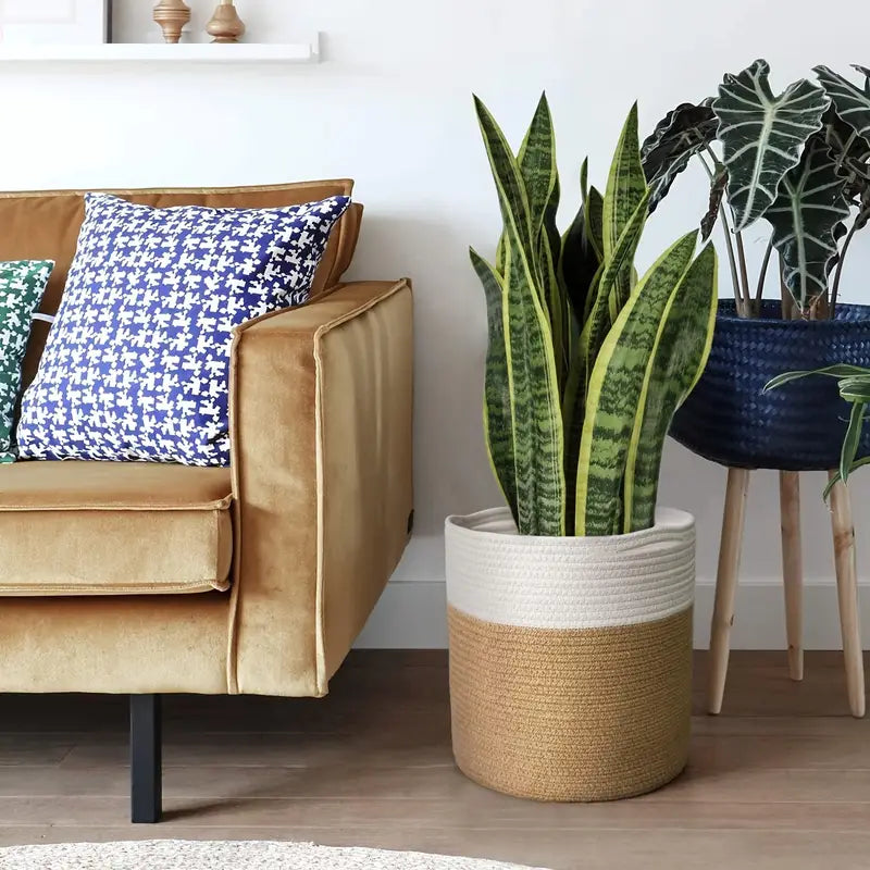 Seilkörbe als umweltfreundliche und ästhetische Übertöpfe für Pflanzen