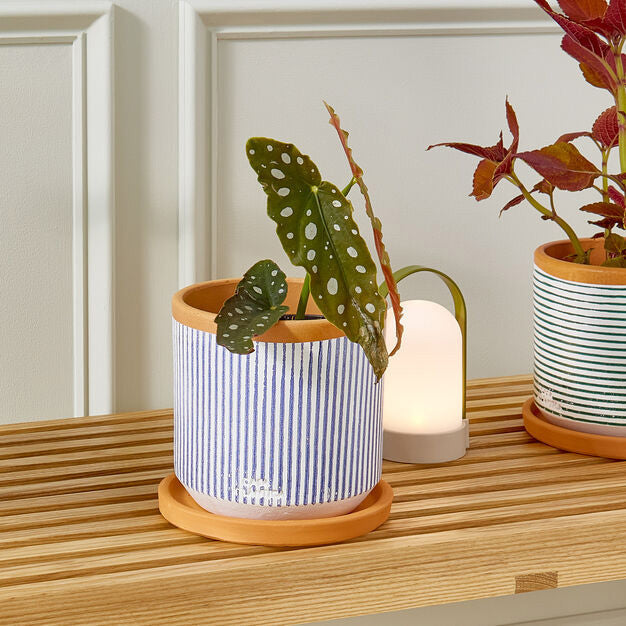 Casa Atlântica – Wo Handwerk Heimat wird