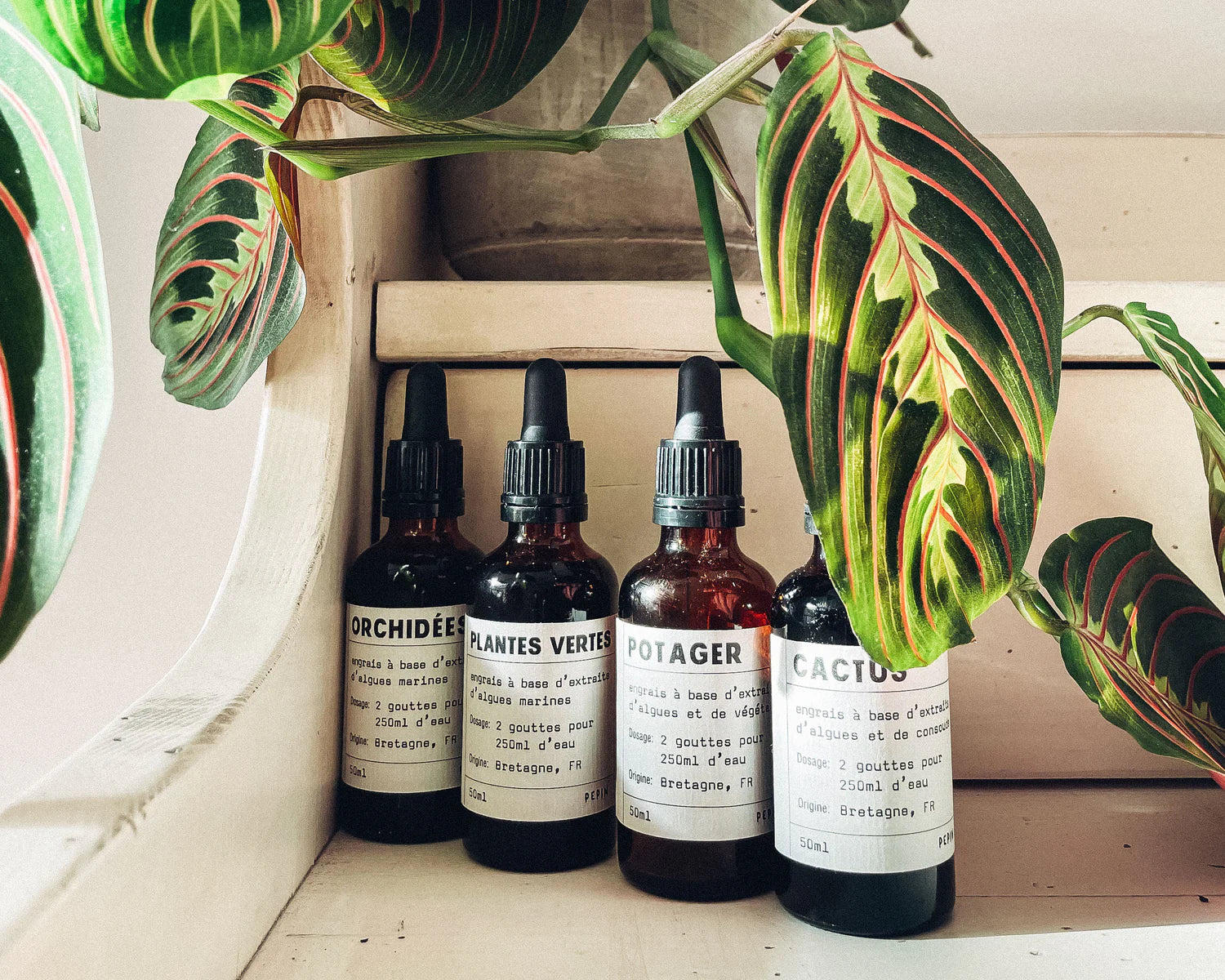 PEPIN – Flüssigdünger für Gemüse &amp; Kräuter, 50 ml, biologisch aus Algen &amp; Pflanzenextrakten