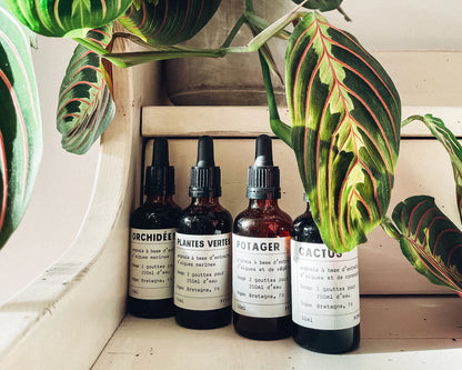 PEPIN – Flüssigdünger für Gemüse &amp; Kräuter, 50 ml, biologisch aus Algen &amp; Pflanzenextrakten