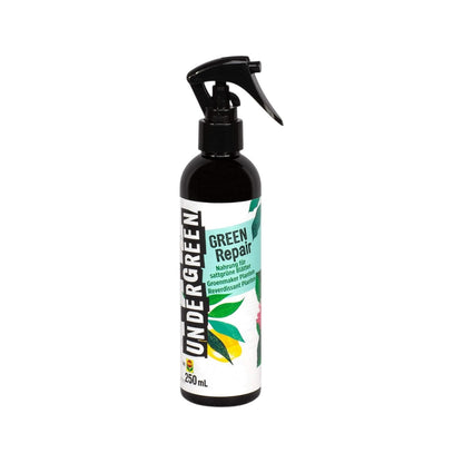 Undergreen by Compo Green Repair, Futter für kräftige, sattgrüne Blätter, Anti-Chlorose-Spray, Bio, Sprühflasche, 250 ml