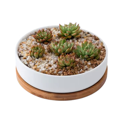 MALA – Blumentopf rund – Keramik – Weiß – Ø 16 cm – mit Bambusuntersetzer &amp; Drainageloch