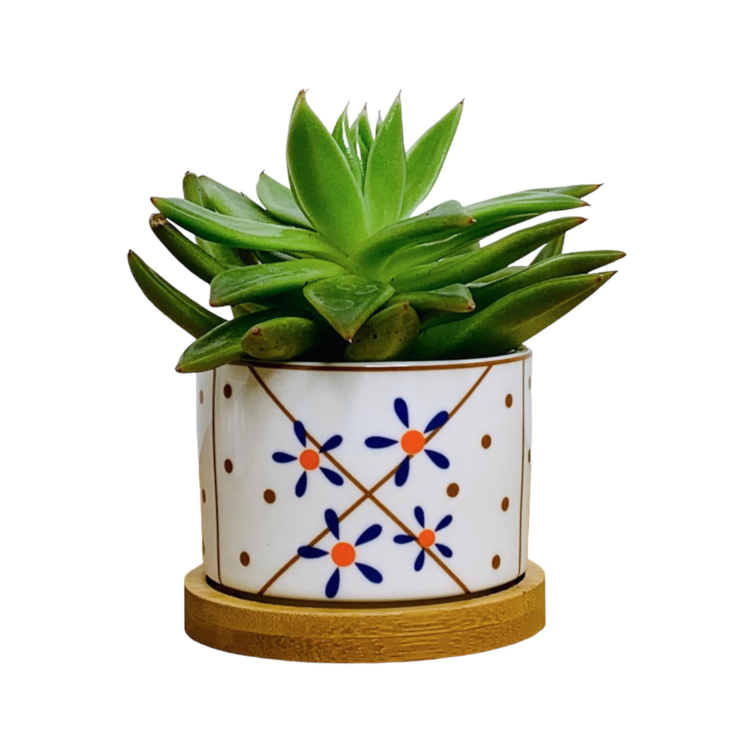 TOKYO – Mini-Blumentopf für Innenbereiche, Keramik, Weiß im japanischen Stil, Ø 6,5 cm, mit Bambusuntersetzer &amp; Drainageloch