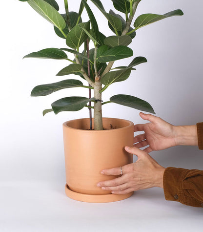 DINIS – Blumentopf für Innen- und Außenbereiche, Ton, Terrakotta Natur, Ø 18 cm, handgefertigt mit Untersetzer