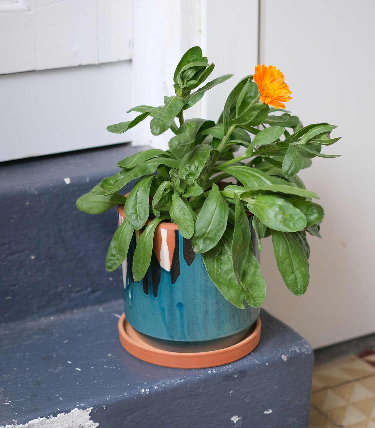 Ugo – Blumentopf aus Ton mit Untersetzer, blau glasiert, Ø 18 cm, handgefertigt in Portugal