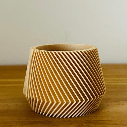 Robin Wood Topf Waves Ø5,5cm -KAKTOS