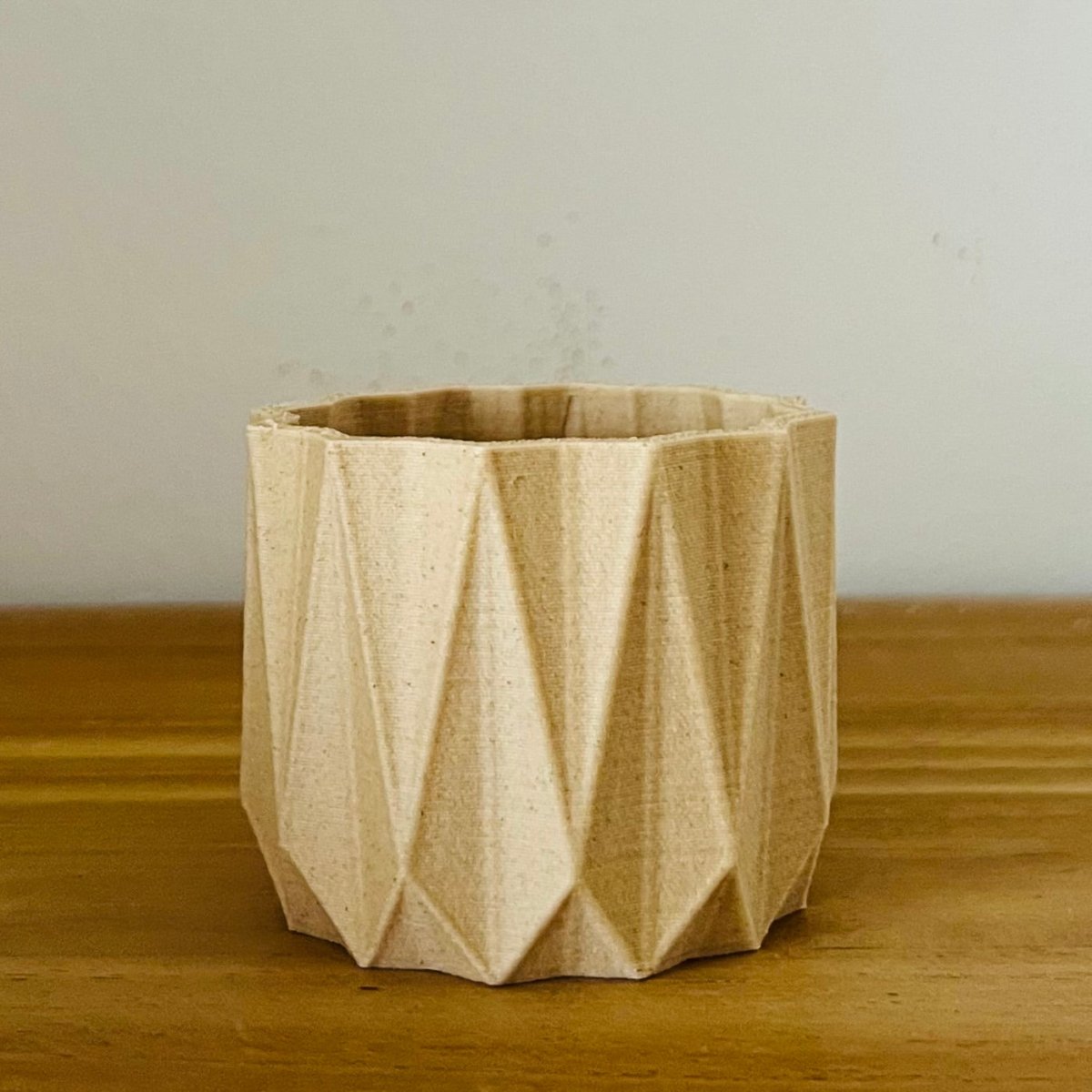 Robin Wood Topf Diamond Ø5,5cm -KAKTOS