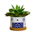 Mini-Blumentopf im japanischen Stil - Tokyo - mit Drainage-Loch, Ø 6,5 cm mit Untersetzer aus Bambus -KAKTOS