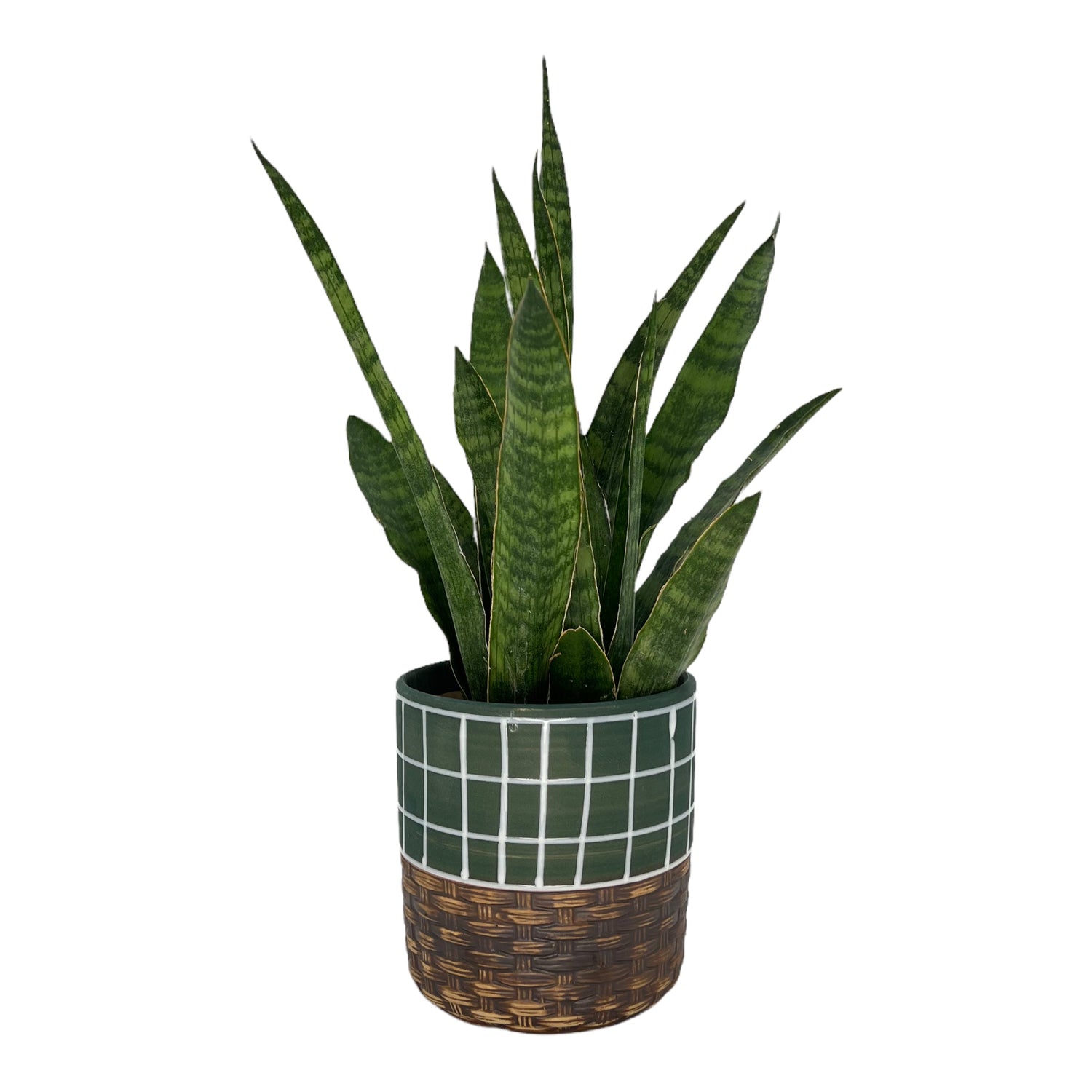 Blumentopf handbemalt, Ø12cm, 13cm hoch, linien, grün/braun, mit Loch -KAKTOS Pflanzgefäße &amp; Zubehör