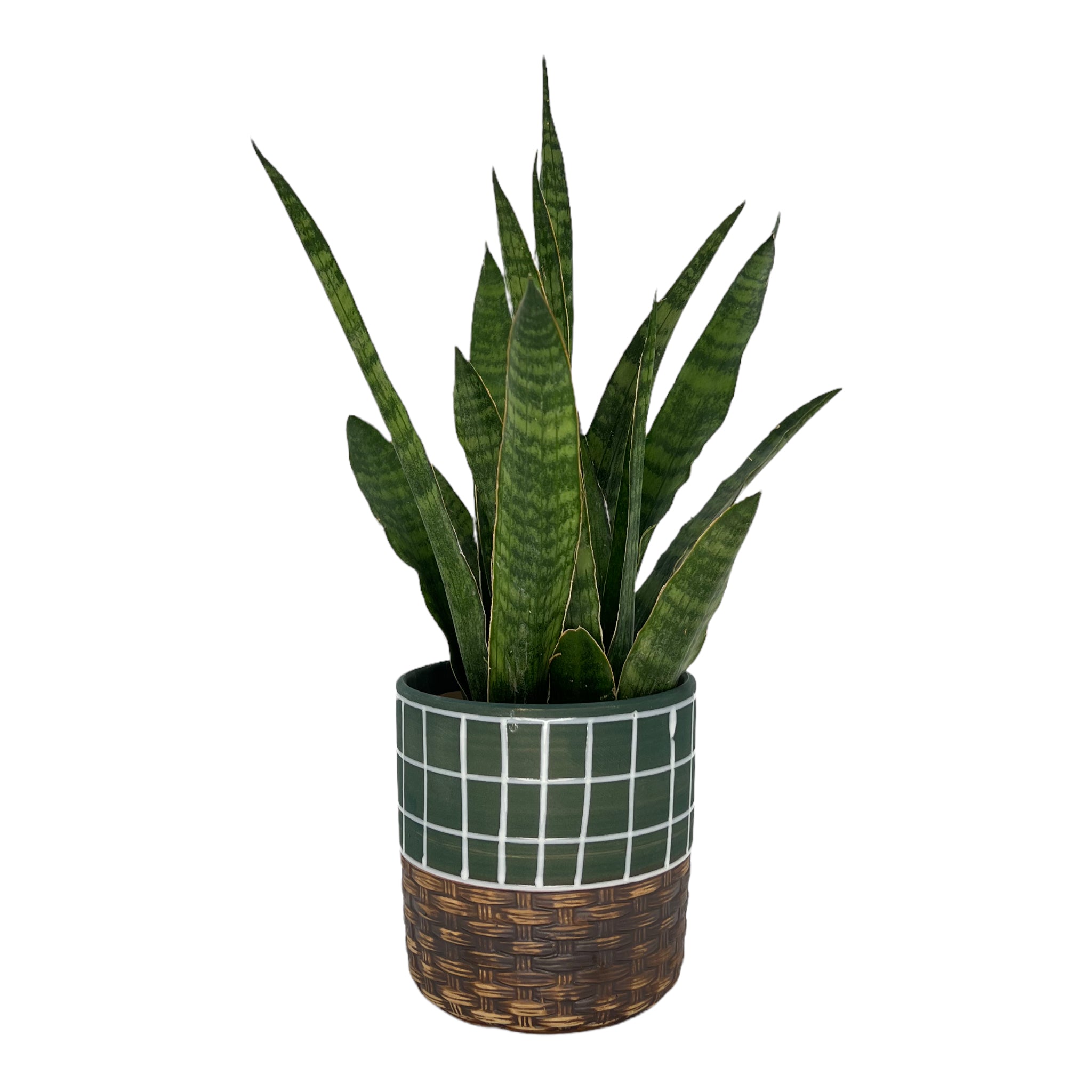 Blumentopf handbemalt, Ø12cm, 13cm hoch, linien, grün/braun, mit Loch -KAKTOS Pflanzgefäße &amp; Zubehör