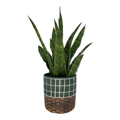 Blumentopf handbemalt, Ø12cm, 13cm hoch, linien, grün/braun, mit Loch -KAKTOS Pflanzgefäße &amp; Zubehör