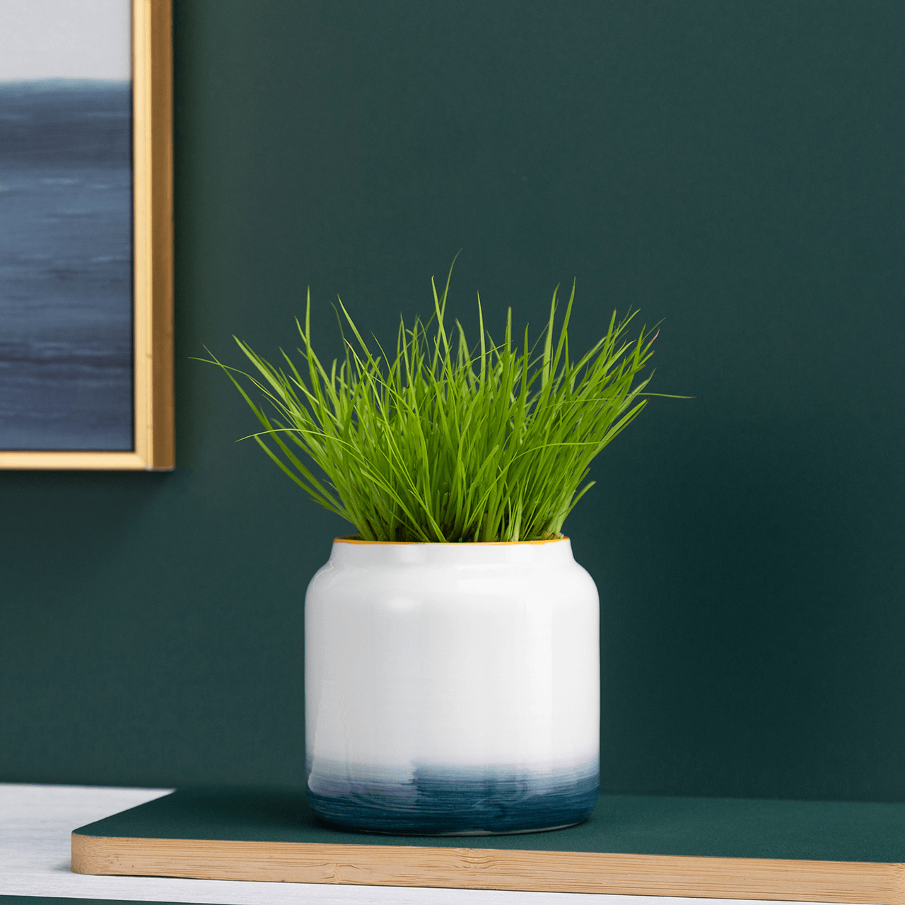 Bromma - Blumentopf aus Keramik, Ø 7cm, handbemalt -KAKTOS Pflanzen &amp; Zubehör