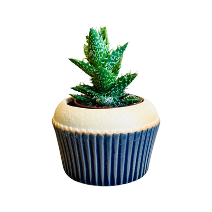 CUPCAKE – Mini-Blumentopf für Innenbereiche, Keramik, verschiedene Farben, Ø 8,4 cm, mit Drainageloch