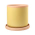 Senfgelber Terracotta-Blumentopf mit Untersetzer, handgefertigt -KAKTOS