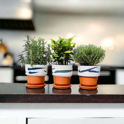 Blumentopf NUAGE terracotta handbemalt - verschiedene Farben - Ø11cm -KAKTOS