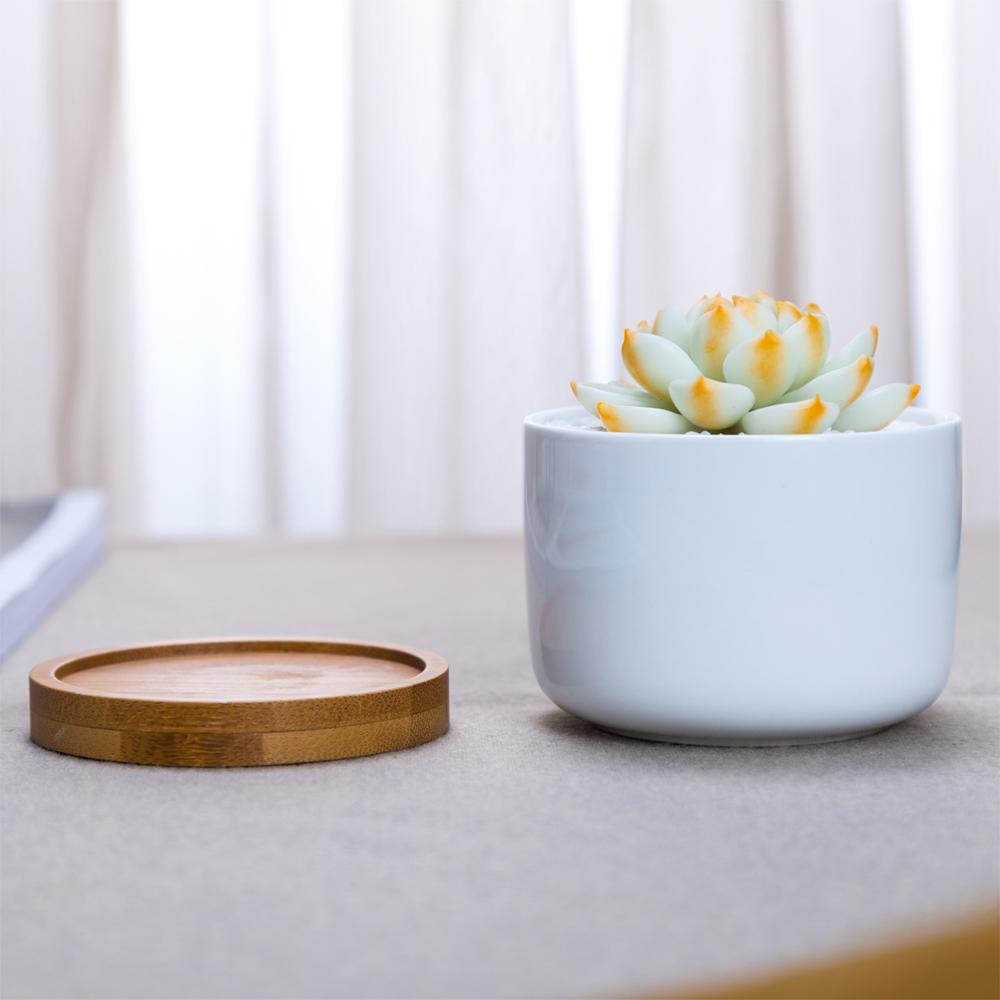 NORDIC Sukkulententopf rund, Durchmesser ca. 6 cm mit Bambusuntersetzer -KAKTOS Pflanzen &amp; Zubehör