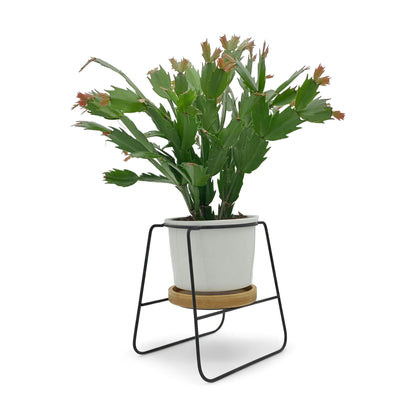 Oslo - Weißer Übertopf, Ø 11cm mit schwarzem Metallgestell und Bambusuntersetzer -KAKTOS Pflanzen &amp; Zubehör