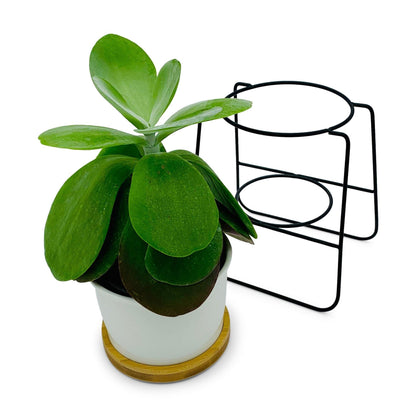 Oslo - Weißer Übertopf, Ø 11cm mit schwarzem Metallgestell und Bambusuntersetzer -KAKTOS Pflanzen &amp; Zubehör