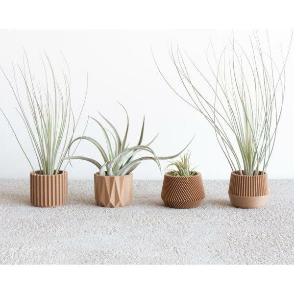 SET aus 4 MINI-Pflanzgefäßen: 100% pflanzliches/nachhaltiges Material -KAKTOS Pflanzen &amp; Zubehör