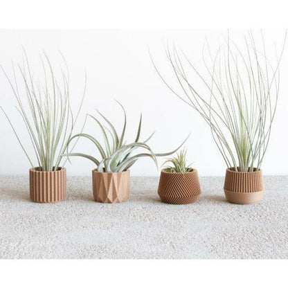 Robin Wood Topf TopEdge Ø5,5cm -KAKTOS