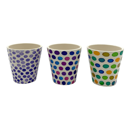 Sukkulententopf Ø 6cm mit Farbtupfern, 3er-Set -KAKTOS Pflanzen &amp; Zubehör