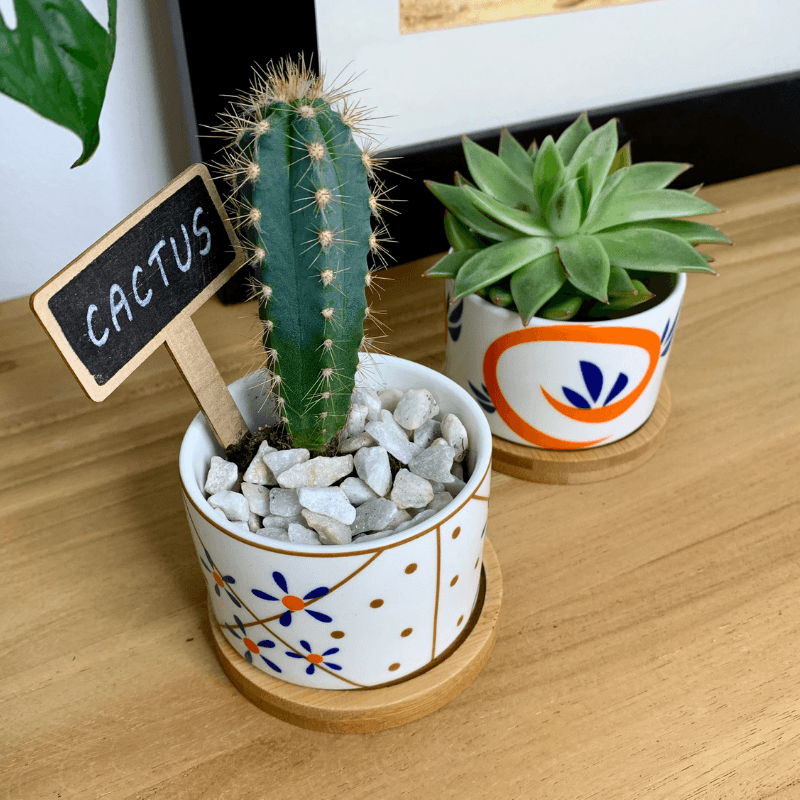 Tokyo - Blumentopf mit Drainageloch, Ø6,5cm mit Bambusuntersetzer -KAKTOS Pflanzen &amp; Zubehör
