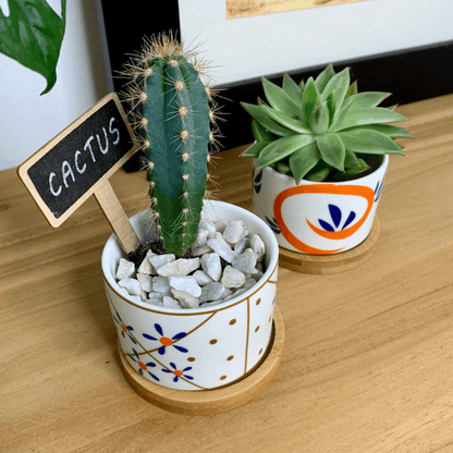 Tokyo - Blumentopf mit Drainageloch, Ø6,5cm mit Bambusuntersetzer -KAKTOS Pflanzen &amp; Zubehör